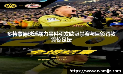 多特蒙德球迷暴力事件引发欧冠禁赛与巨额罚款震惊足坛